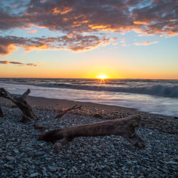 Sunset with driftwood in Hokitika, NZ