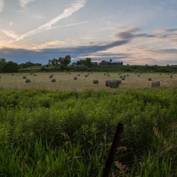 Hay bales at dusk in Lambton County, Petrolia, ON