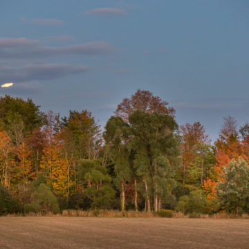 Moonrise in Lambton County outside of Petrolia, ON