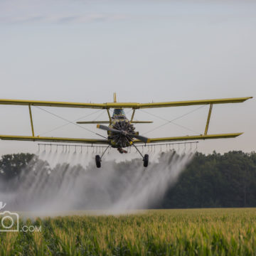Crop Dusting plane making the final pass in Petrolia, ON